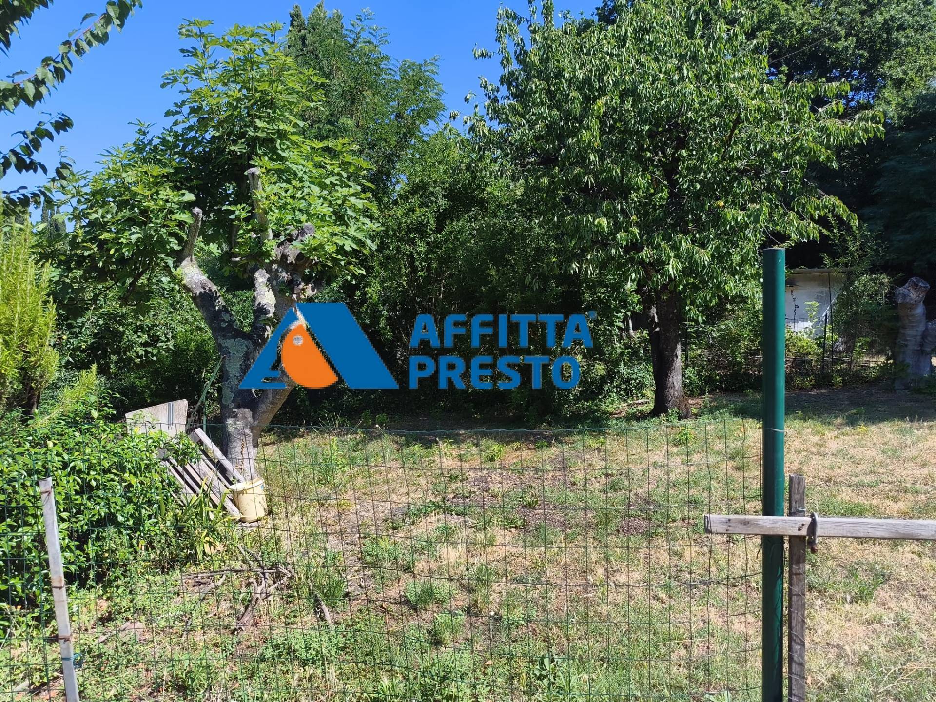 Foto annuncio 10
