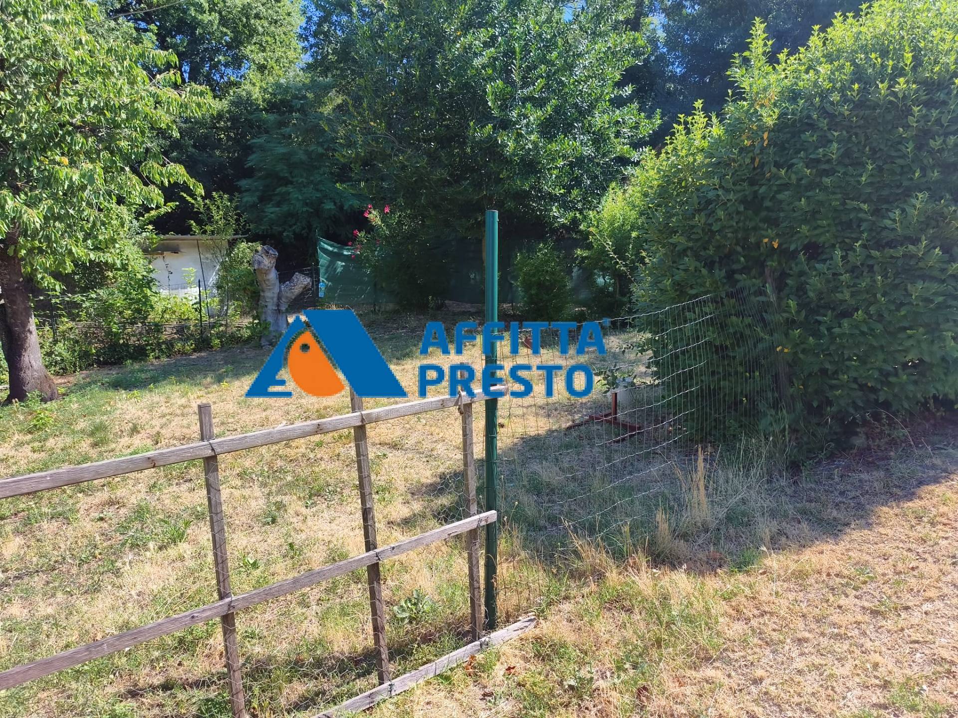 Foto annuncio 17