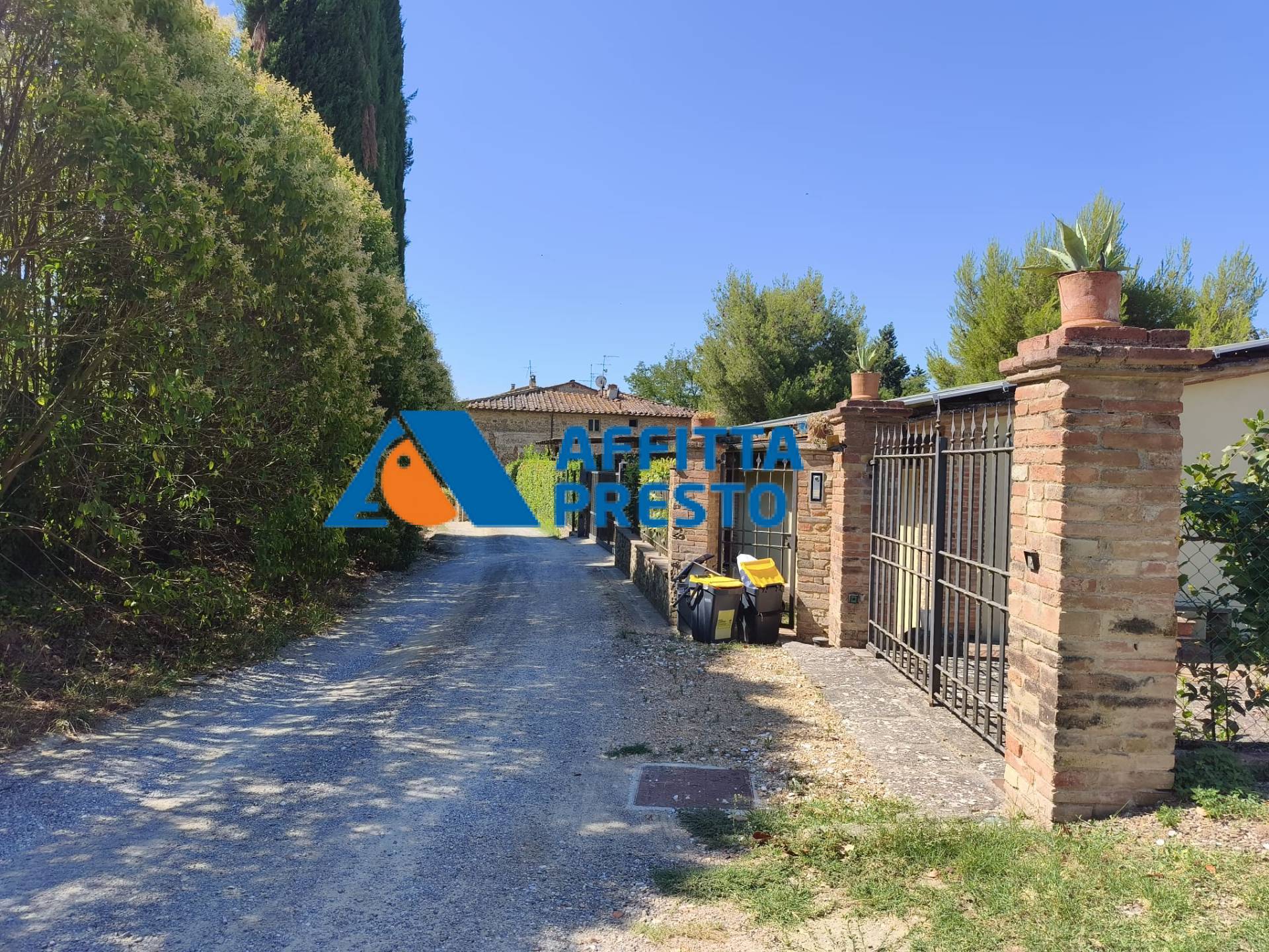 Foto annuncio 5