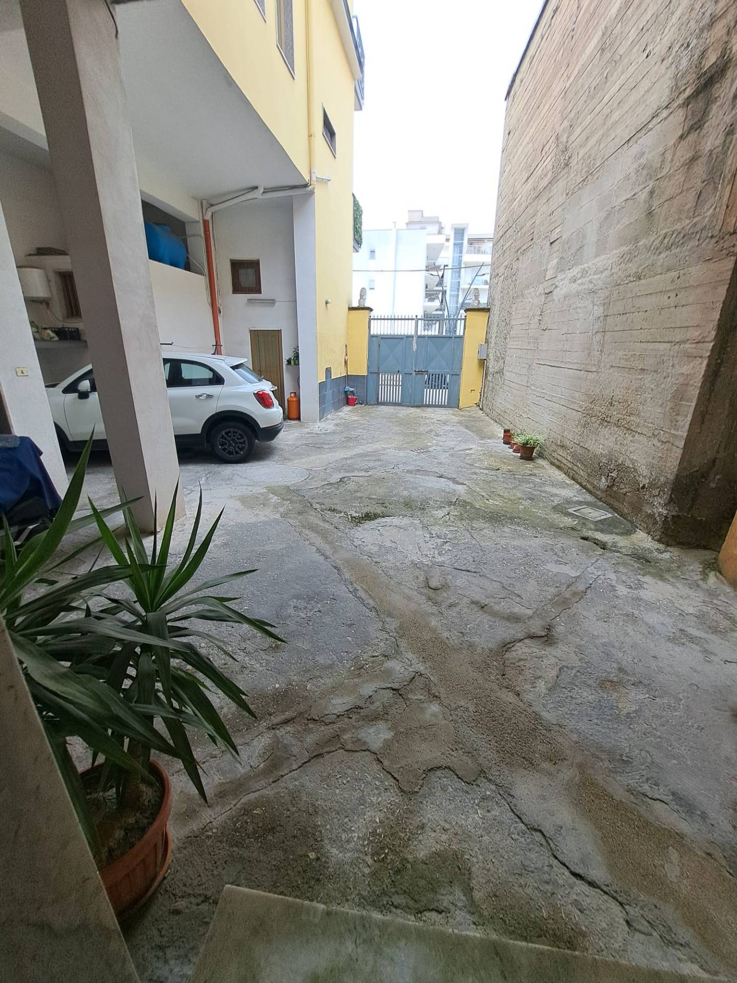 Foto annuncio 2