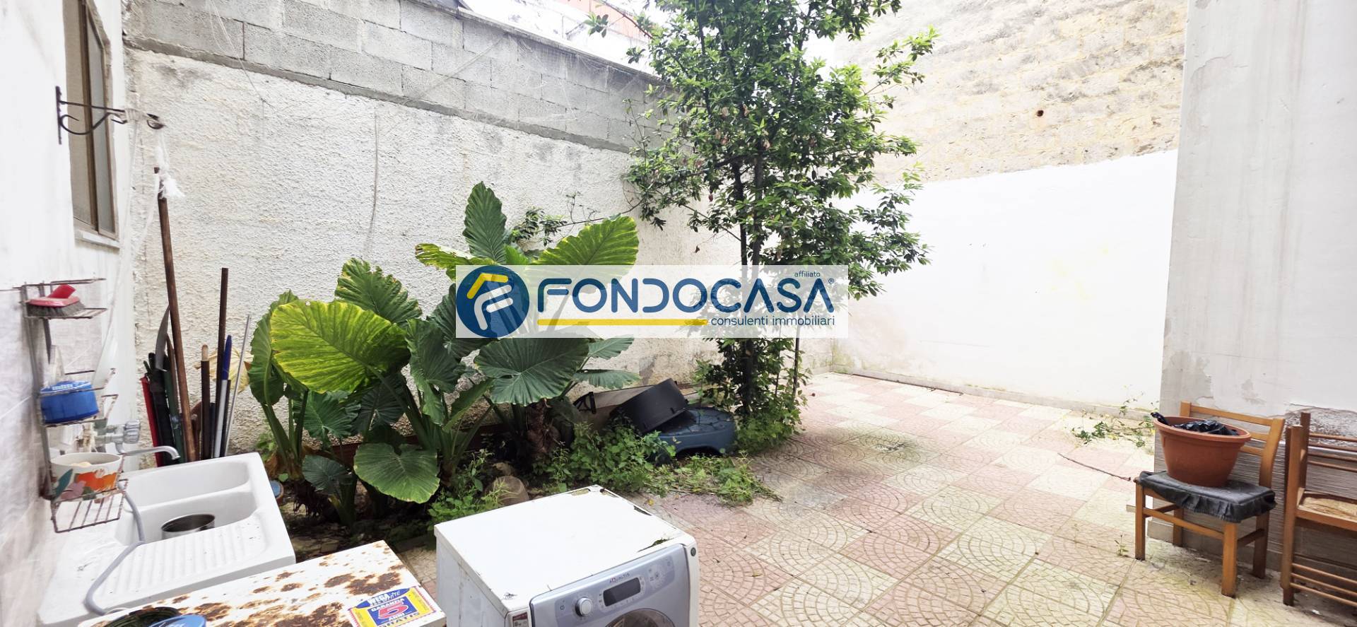 Foto annuncio 10