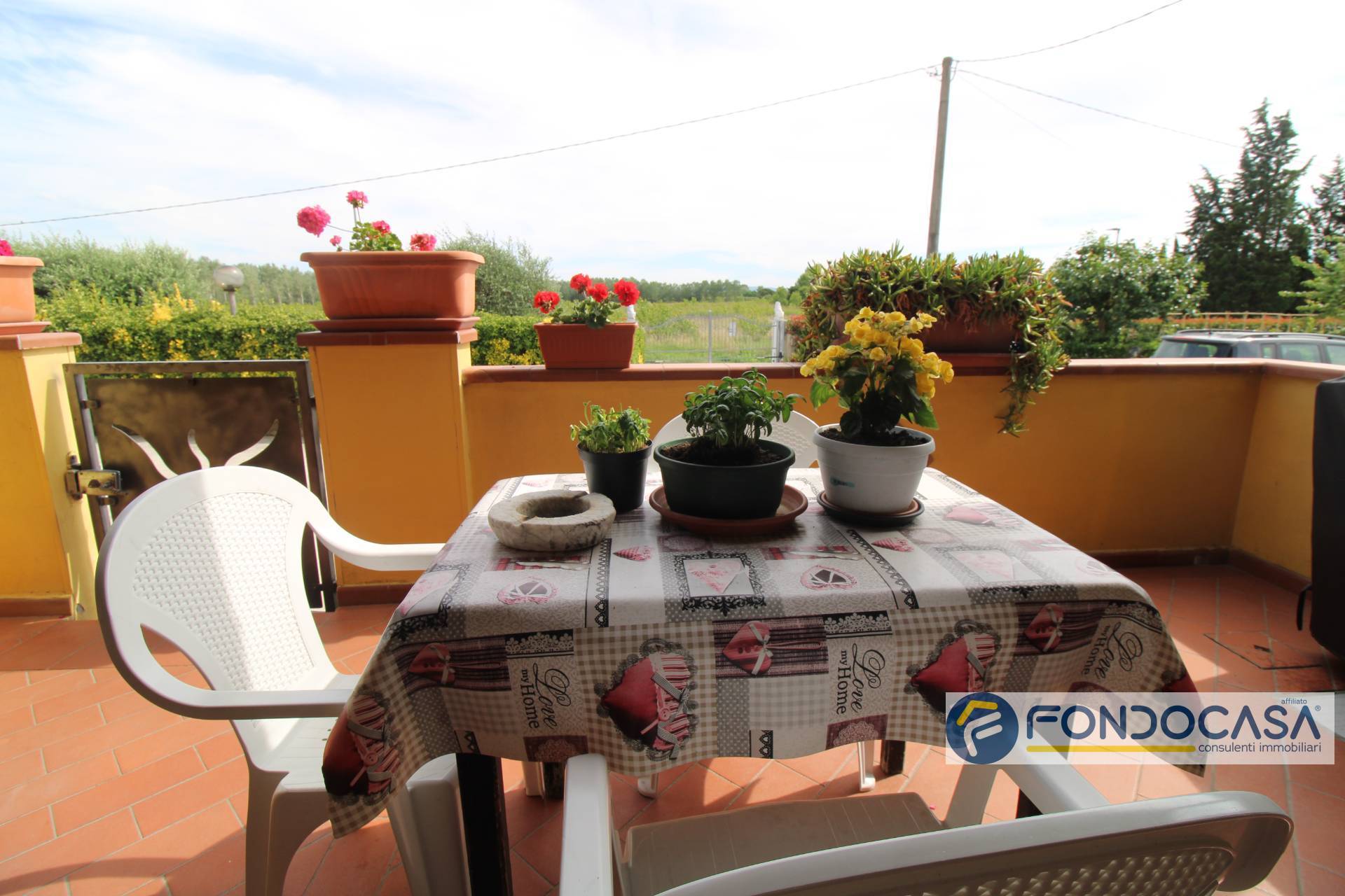Foto annuncio 15