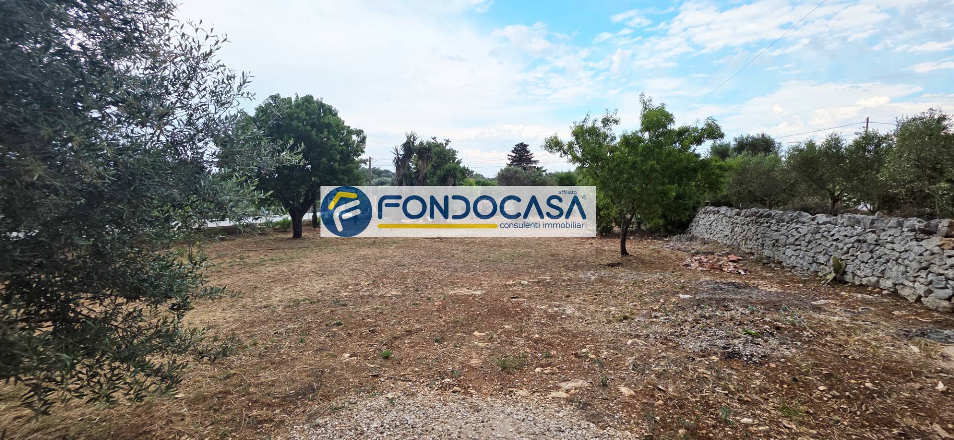 Foto annuncio 35