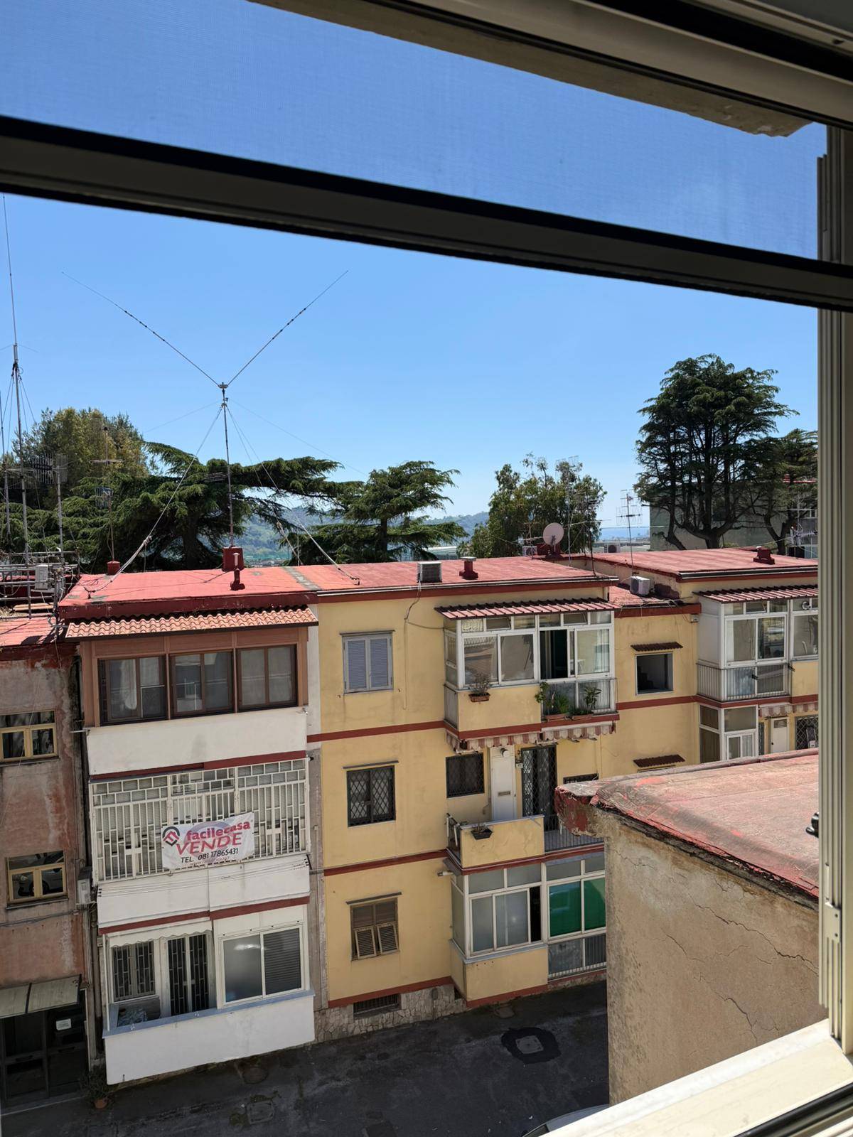 Foto annuncio 11