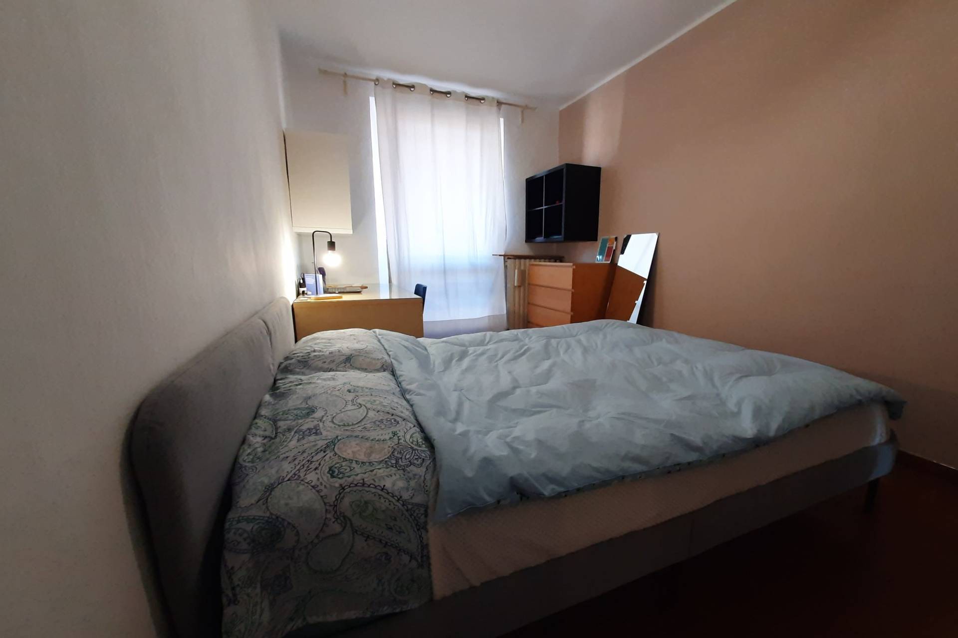 Foto annuncio 7