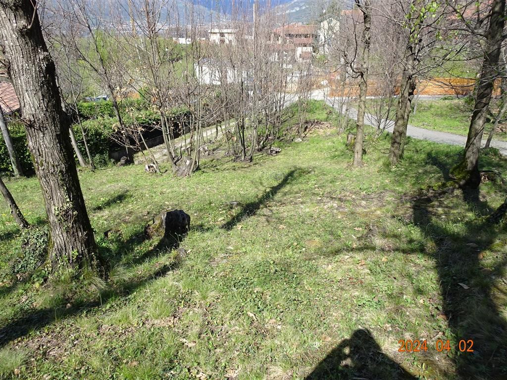 Foto annuncio 1