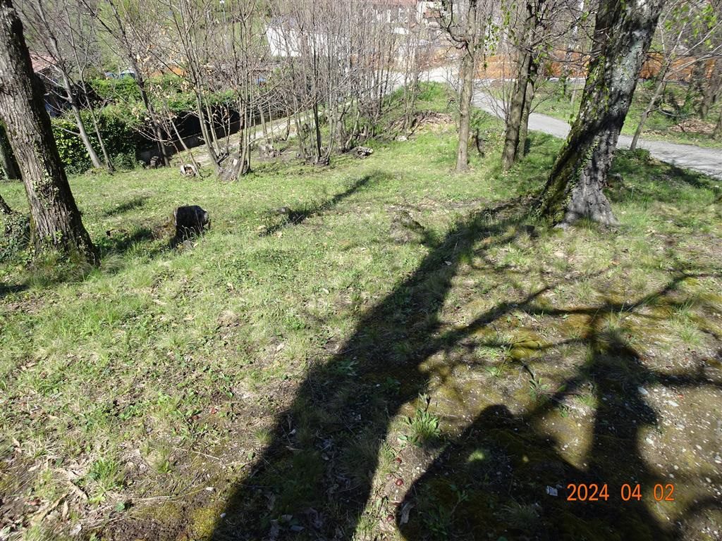 Foto annuncio 3