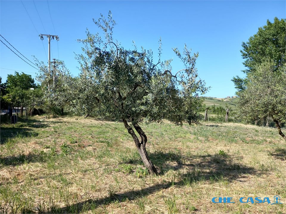Foto annuncio 1