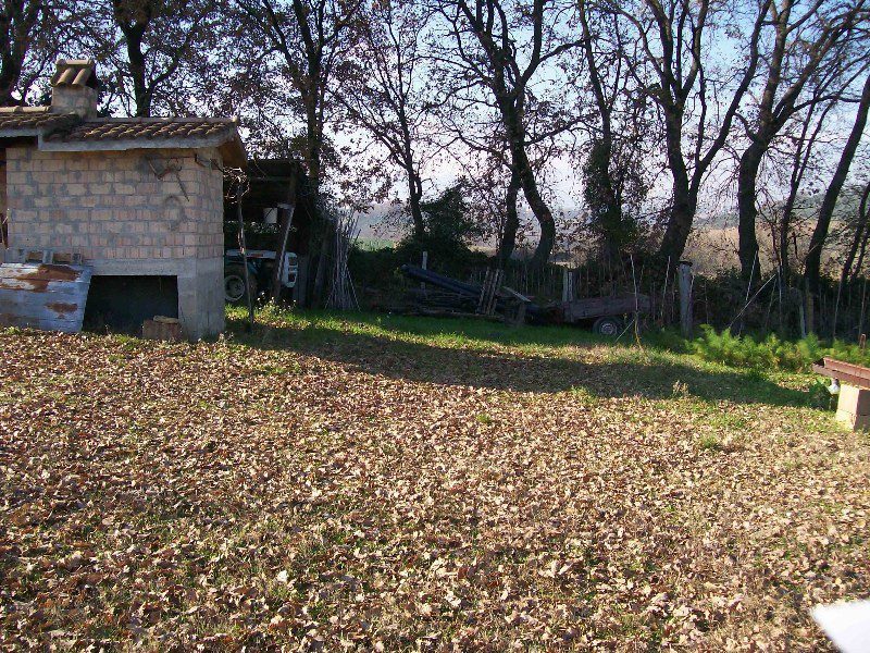 Foto annuncio 5