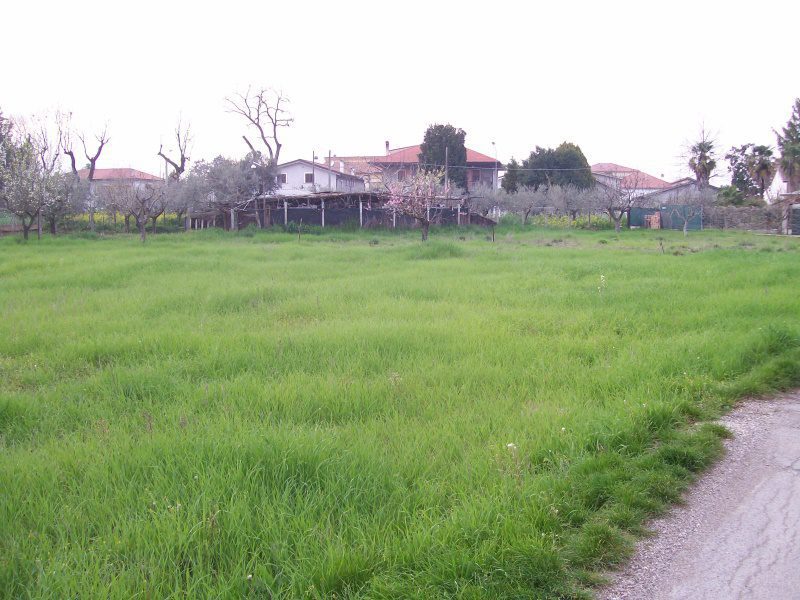 Foto annuncio 2