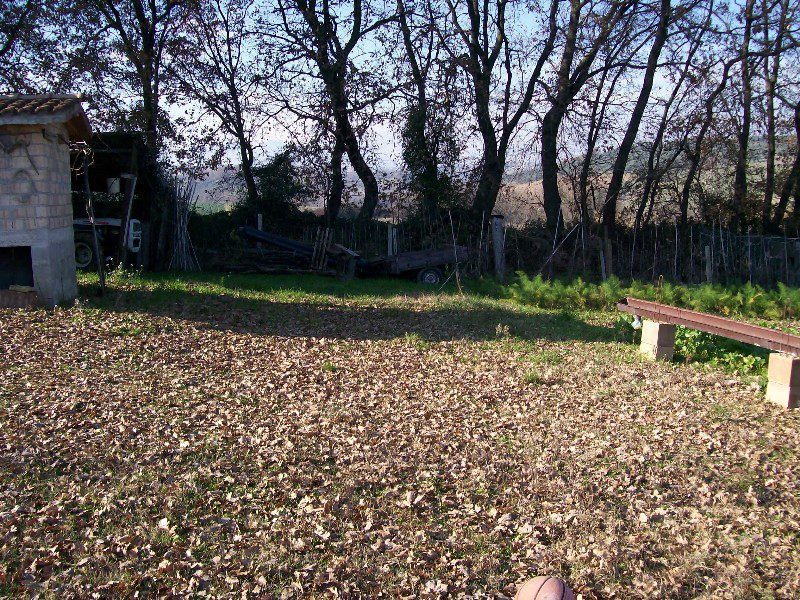 Foto annuncio 4
