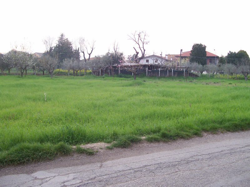 Foto annuncio 5