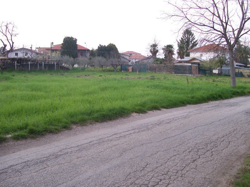 Foto annuncio 6