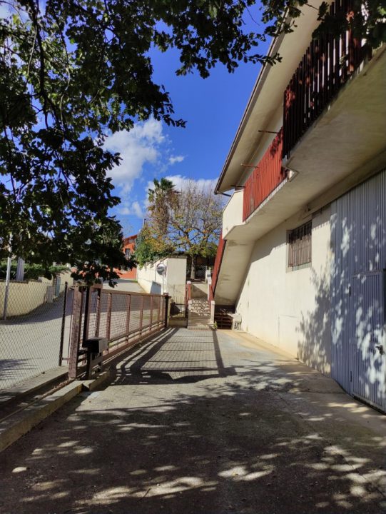 Foto annuncio 4