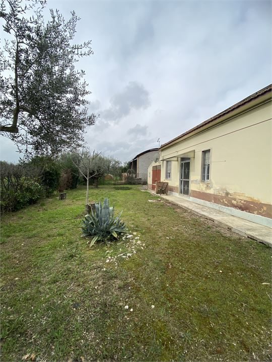 Foto annuncio 8