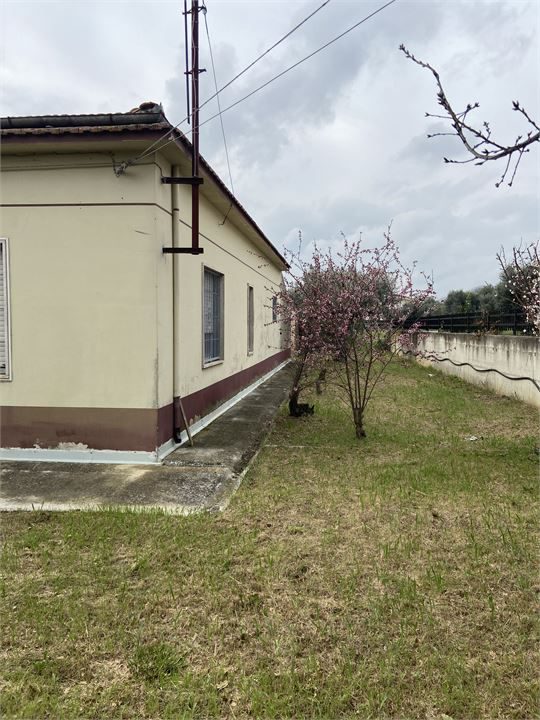 Foto annuncio 7