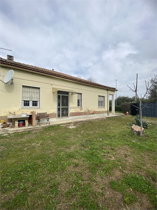 Foto annuncio 10
