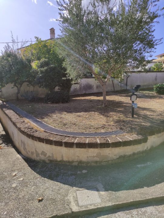 Foto annuncio 9