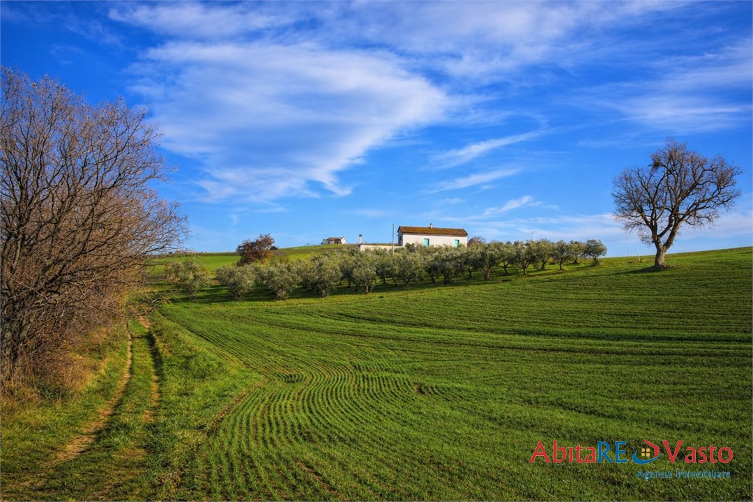 Foto annuncio 1
