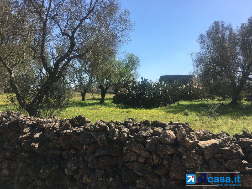 Foto annuncio 3