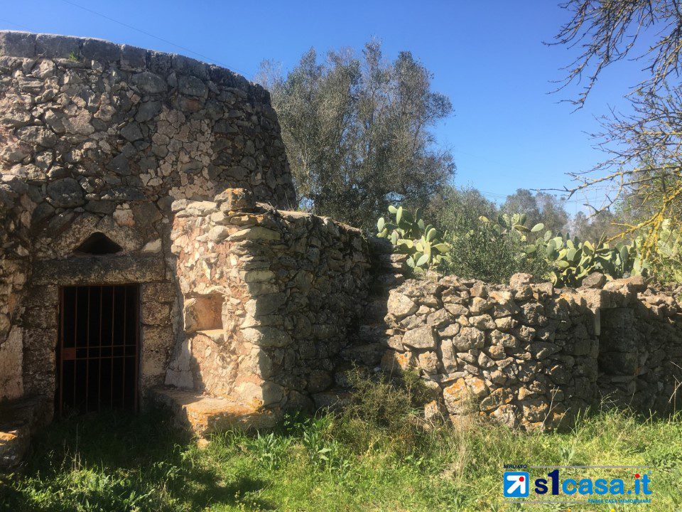 Foto annuncio 2