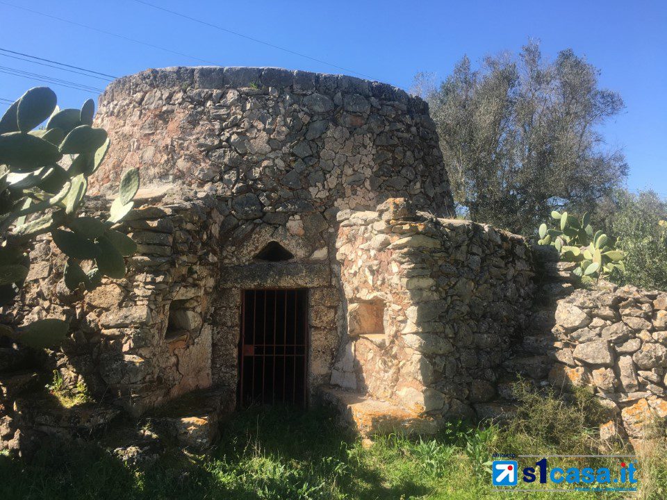Foto annuncio 1