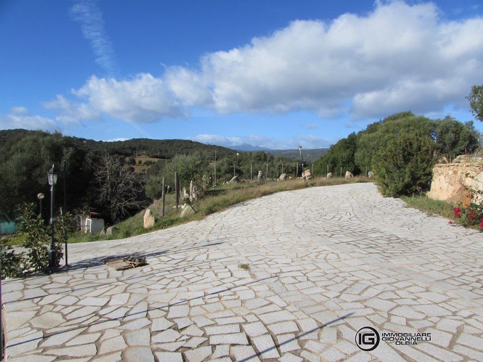 Foto annuncio 10