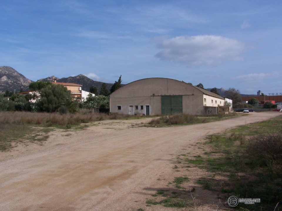 Foto annuncio 2