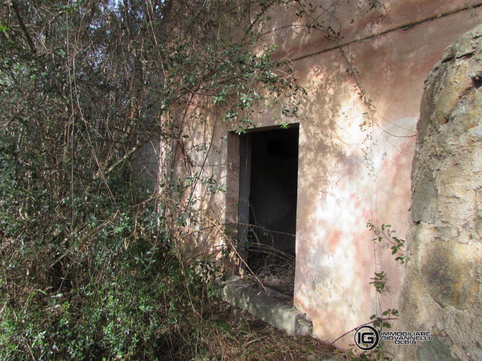 Foto annuncio 4