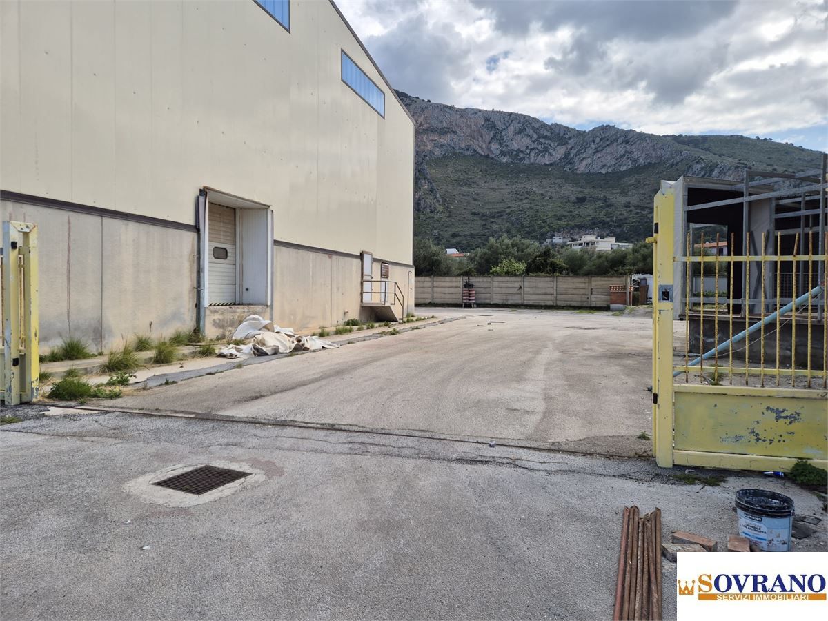 Foto annuncio 5