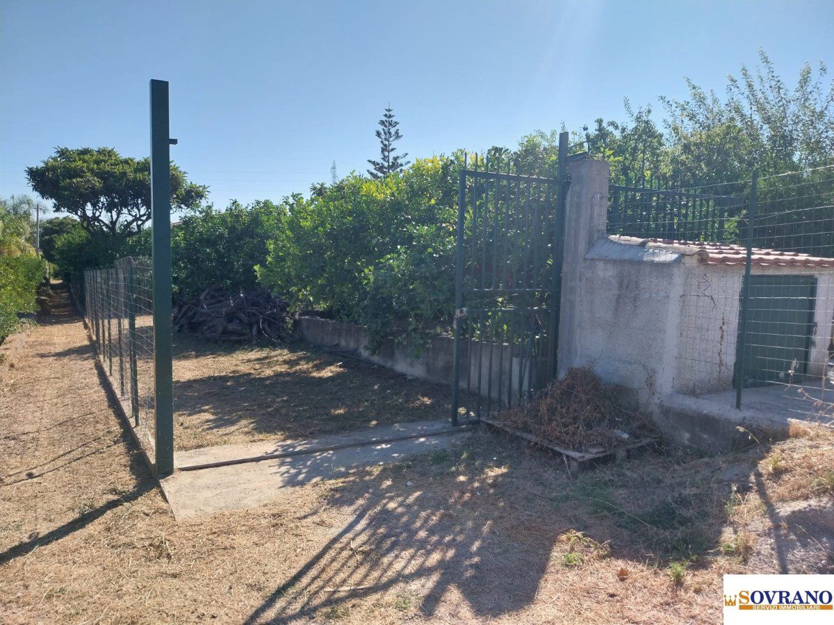 Foto annuncio 10