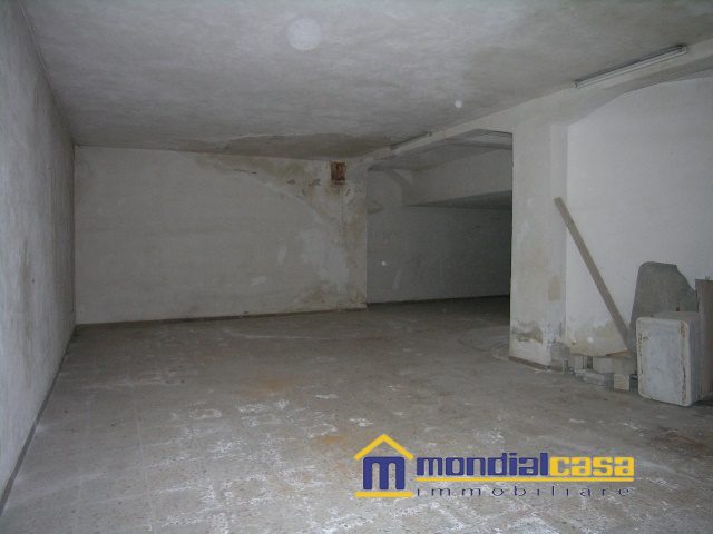 Foto annuncio 5