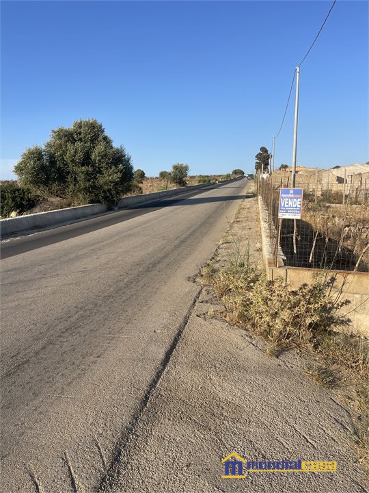 Foto annuncio 3