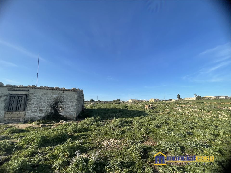Foto annuncio 8