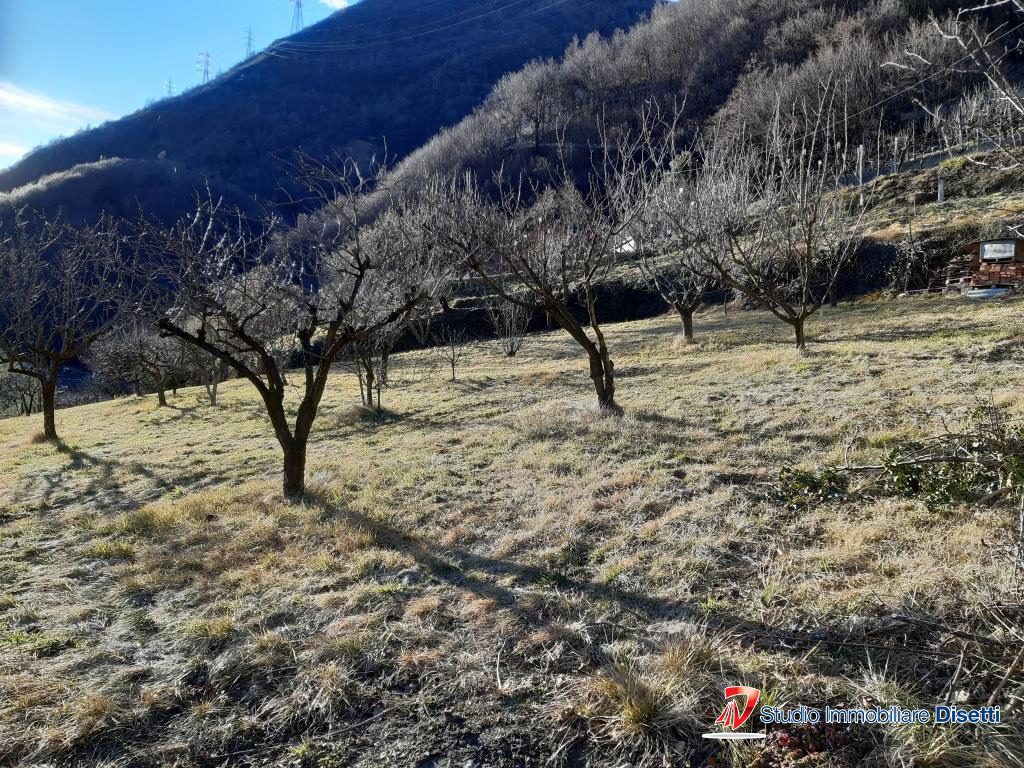 Foto annuncio 2