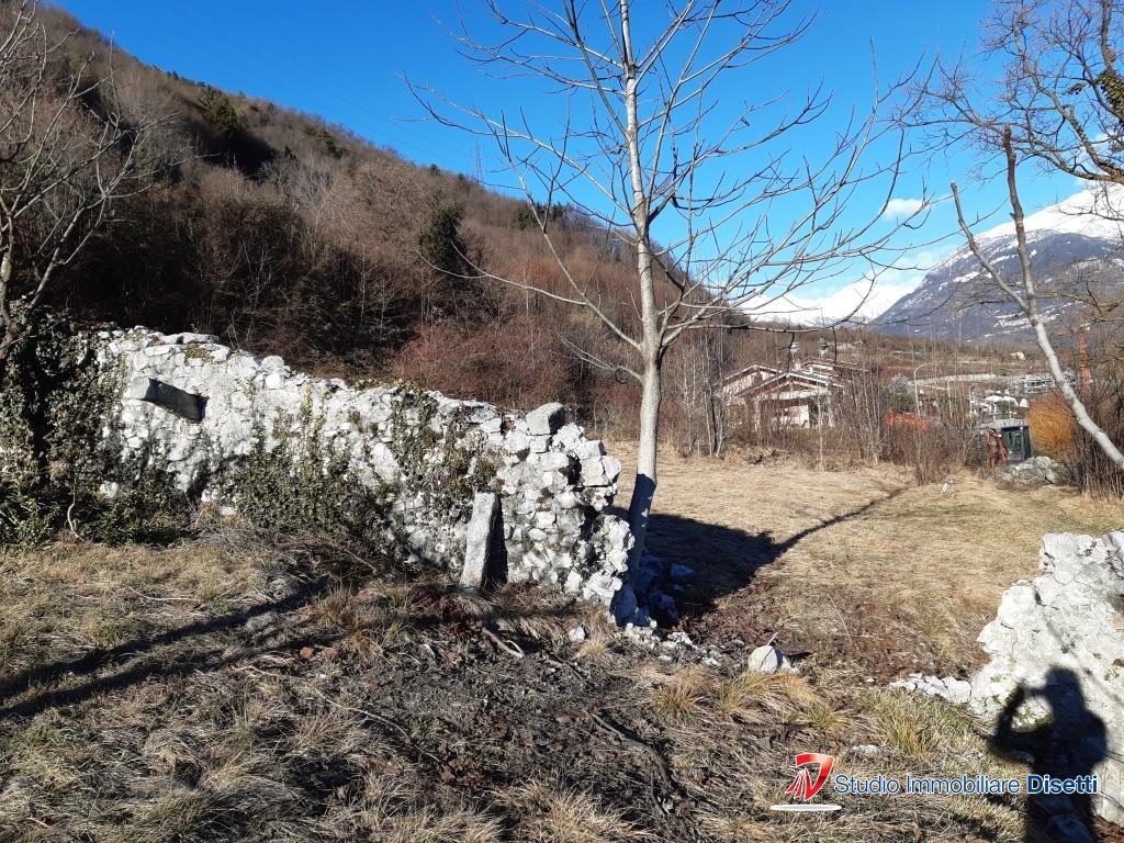 Foto annuncio 4