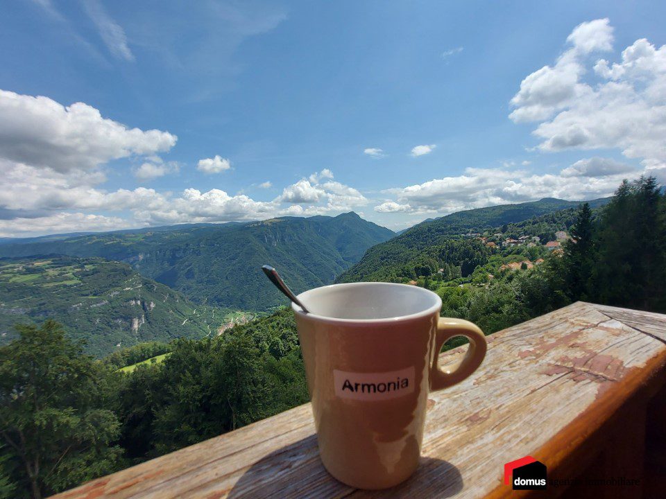 Foto annuncio 10
