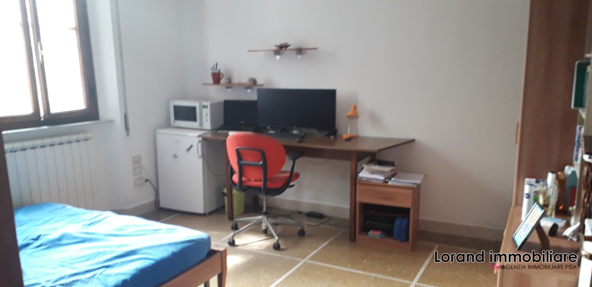 Foto annuncio 6