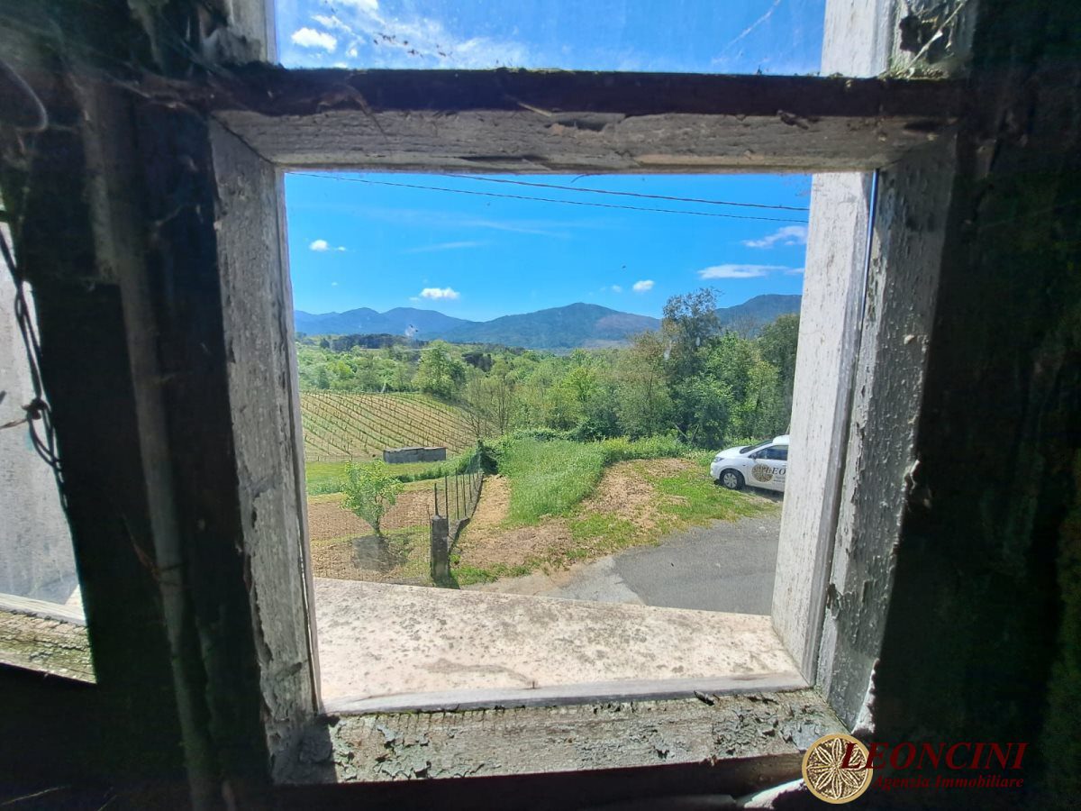 Foto annuncio 8