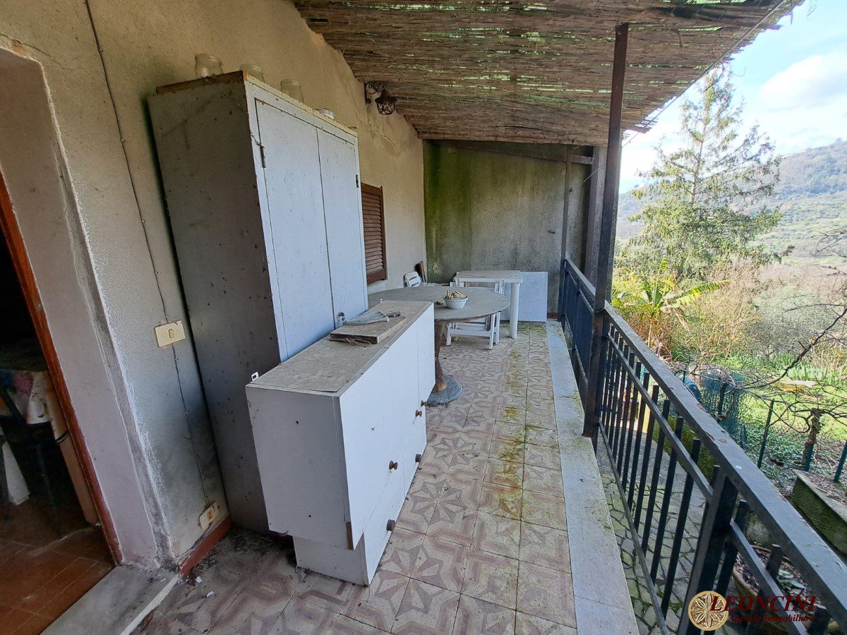 Foto annuncio 9