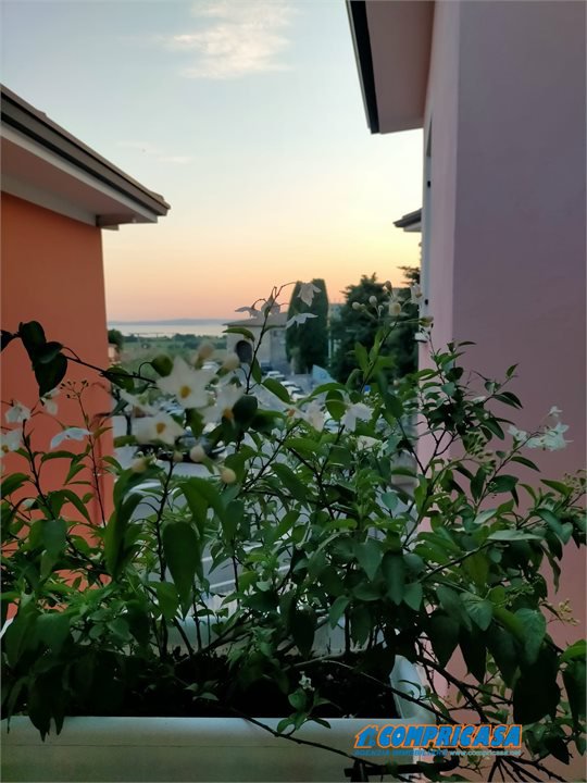 Foto annuncio 9