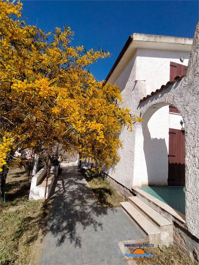 Foto annuncio 7