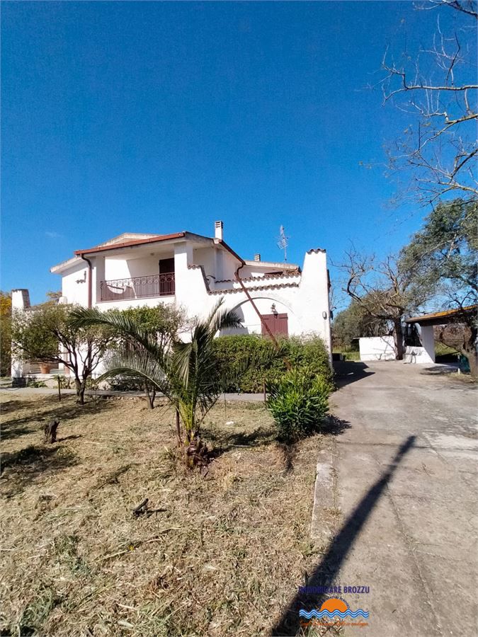 Foto annuncio 2