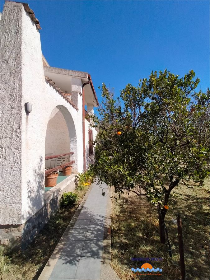 Foto annuncio 5