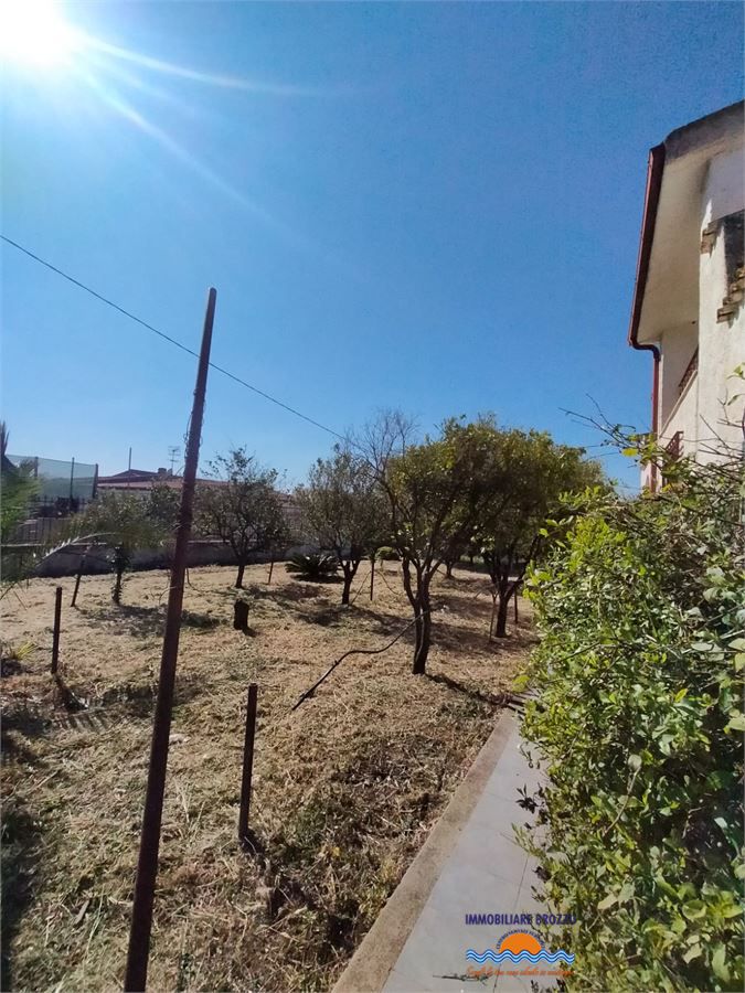 Foto annuncio 9