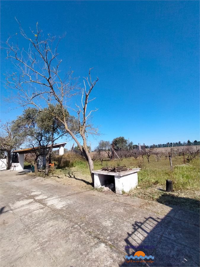 Foto annuncio 4