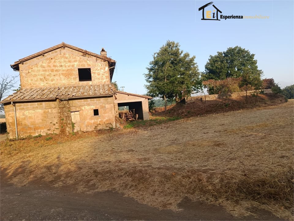 Foto annuncio 6