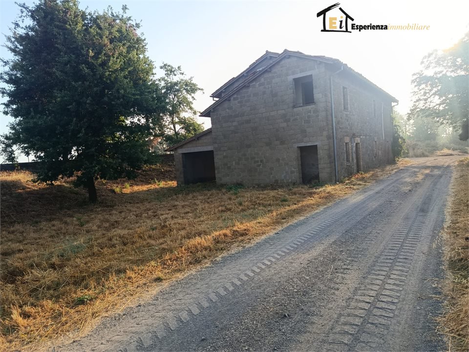 Foto annuncio 7