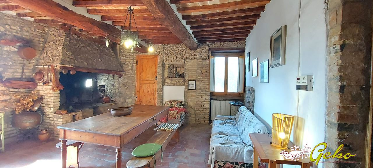 Foto annuncio 7