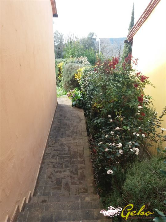 Foto annuncio 5